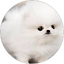 A Cahill profile picture